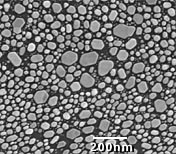 SEM Test Specimens 617-2