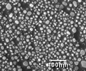 SEM Test Specimens 617-2