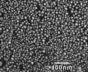 SEM Test Specimens 617-2