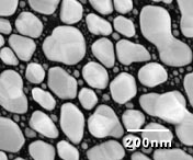 SEM Test Specimens 617-2