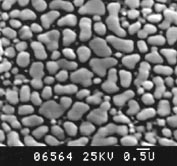 SEM Test Specimens 617-2