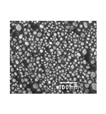 SEM Test Specimens 617-2