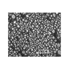 SEM Test Specimens 617-2