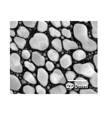 SEM Test Specimens 617-4