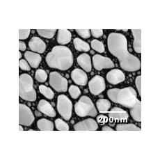 SEM Test Specimens 617-4