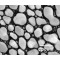 SEM Test Specimens 617-4