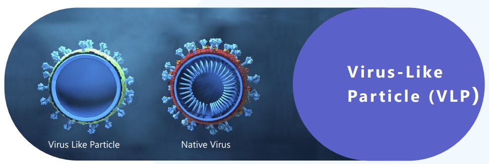 SARS-CoV-2 Virus-like Particles