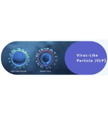 SARS-CoV-2 Virus-like Particles