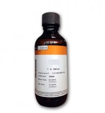 Copolymer(MMA) Resists