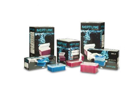 Pipette Tip