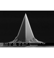AFM Probe Tip
